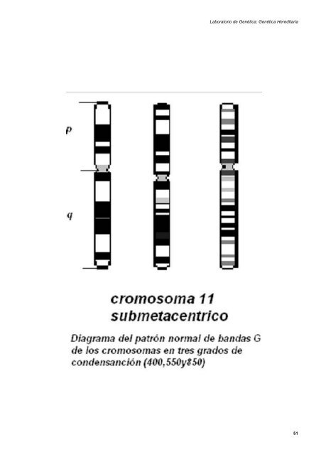 laboratorio de genética: genética hereditaria - Mediante este portal ...