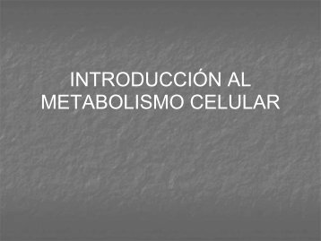 introducción al metabolismo celular - IES La Dehesilla - Cercedilla