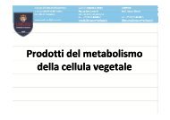 Prodotti del metabolismo della cellula vegetale