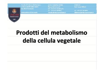 Prodotti del metabolismo della cellula vegetale