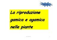 propagazione gamica - prof. R. Andrei - appunti di agraria