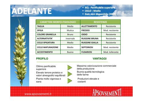 Non solo ricerca e sperimentazione ma soluzioni tecniche innovative