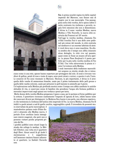 Il Patrimonio Unesco dell.docx - Mlbianchi.altervista.org