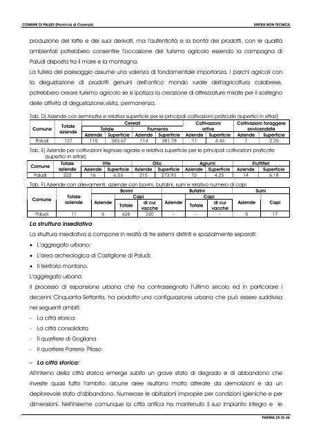 Sintesi non tecnica - Regione Calabria