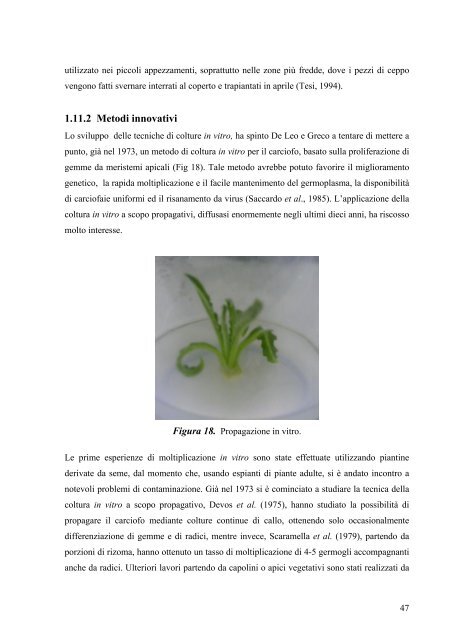 universita' degli studi della tuscia facolta' di agraria ... - Unitus DSpace