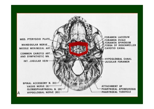 Tumori maligni della sfera ORL - Facoltà di Medicina e Chirurgia