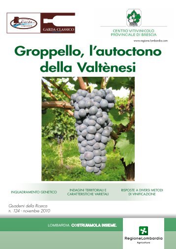 Groppello, l'autoctono della Valtènesi - Centro Vitivinicolo Provinciale