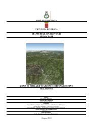 Relazione D - Comune di Grezzana