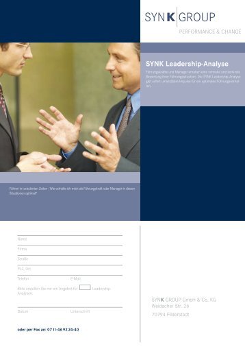 SYNK Leadership-Analyse - Synk Group