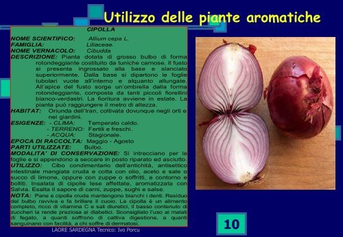 Schede delle piante aromatiche - GAL Sarcidano Barbagia di Seulo