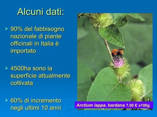 Flora officinale di uso tradizionale Simonetta Fascetti - Woden