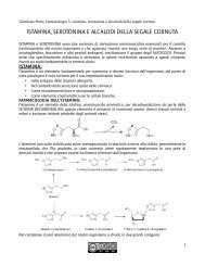 farmacologia 5_istamina serotonina e alcaoidi della ... - AppuntiMed