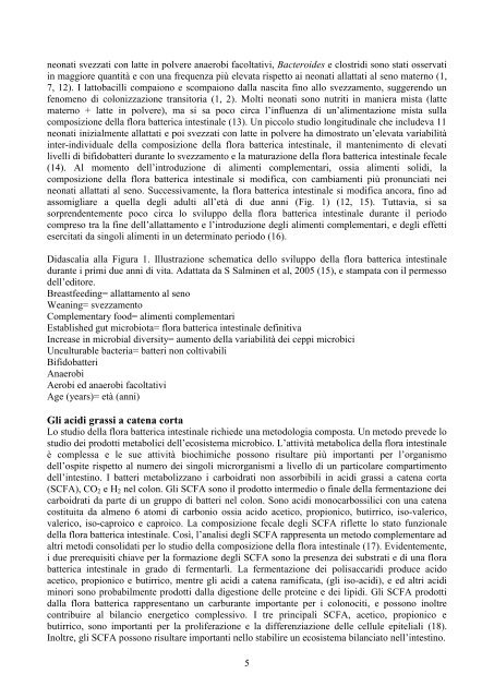 La somministrazione di Lactobacillus paracasei subsp paracasei ...