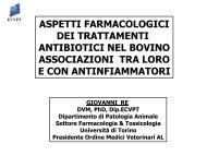 terapia antimicrobica - Ordinevetverona.it