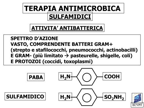 terapia antimicrobica - Ordinevetverona.it