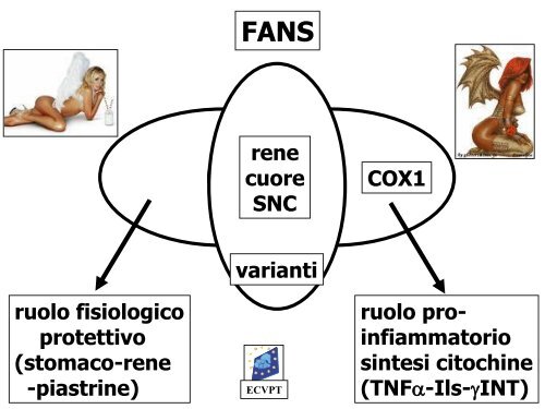 terapia antimicrobica - Ordinevetverona.it