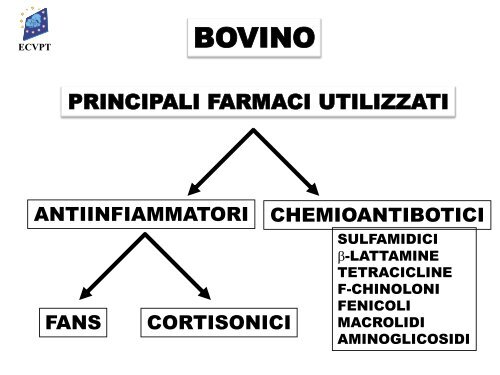 terapia antimicrobica - Ordinevetverona.it