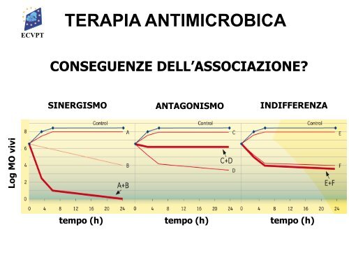 terapia antimicrobica - Ordinevetverona.it