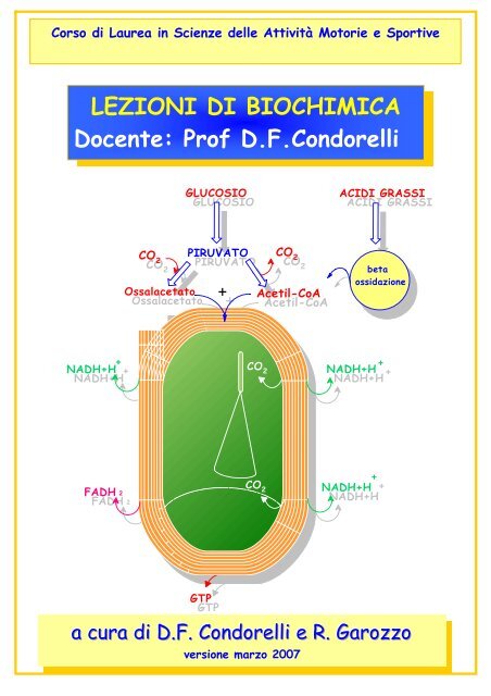 LEZIONI DI BIOCHIMICA Docente: Prof D.F.Condorelli