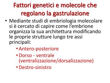 Fattori genetici e molecole che regolano la gastrulazione