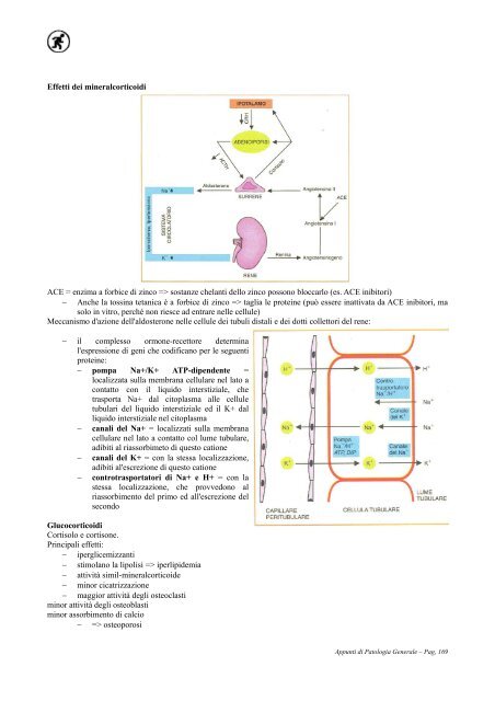 APPUNTI DI PATOLOGIA GENERALE - Camice d'Oro