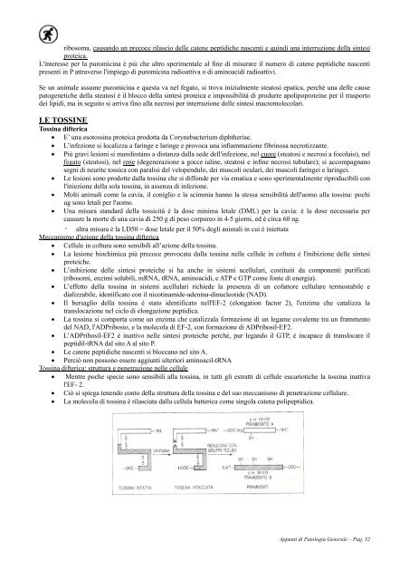 APPUNTI DI PATOLOGIA GENERALE - Camice d'Oro