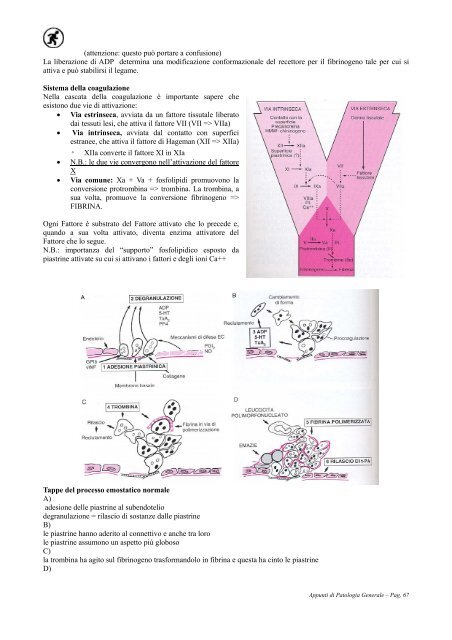 APPUNTI DI PATOLOGIA GENERALE - Camice d'Oro