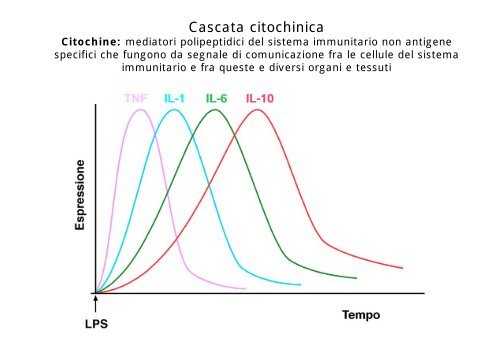 04 Lezione dalla 4 alla 7 Modulo 2 - ctf novara