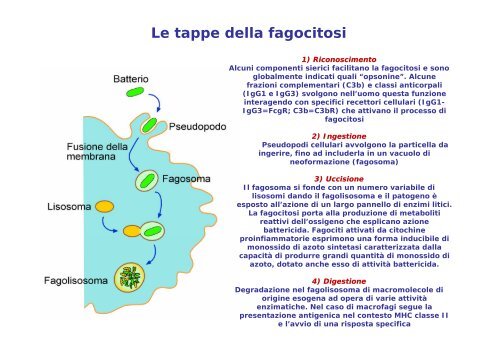 04 Lezione dalla 4 alla 7 Modulo 2 - ctf novara