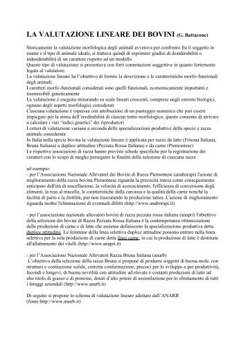 LA VALUTAZIONE LINEARE DEI BOVINI (G. Battacone) - AgrariaFree