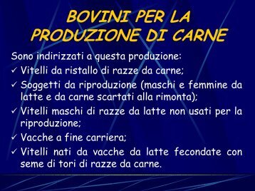 le carni bovine - Azienda Agricola Maludrottu