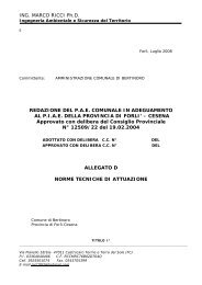 D NTA_appr.pdf - Comune di Bertinoro