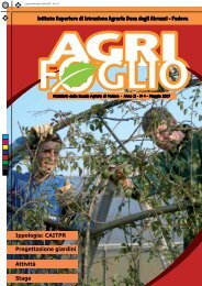 scarica il giornalino (PDF) - ISI Duca degli Abruzzi