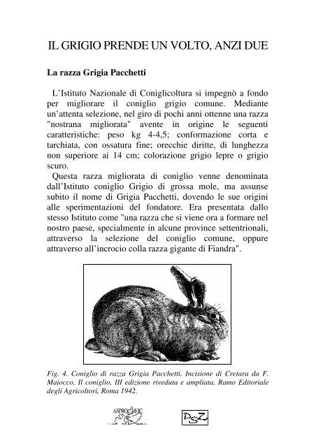 Le origini del coniglio di Carmagnola - Biozootec