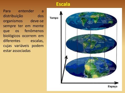 Aula 7 - Zoogeografia - Light