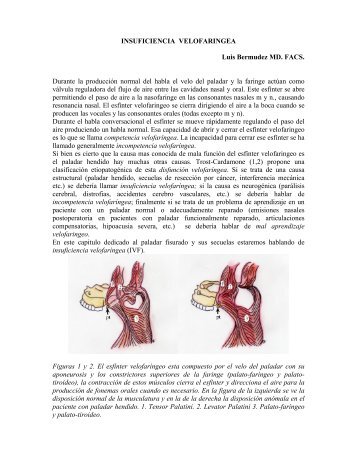 Insuficiencia velofaringea 2012 - Ciruestetic