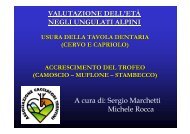 VALUTAZIONE DELL'ETÀ NEGLI UNGULATI ALPINI A ... - Digistyle.it