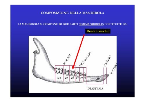 VALUTAZIONE DELL'ETÀ NEGLI UNGULATI ALPINI A ... - Digistyle.it