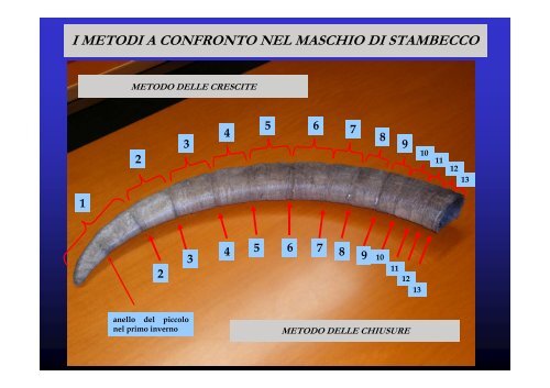 VALUTAZIONE DELL'ETÀ NEGLI UNGULATI ALPINI A ... - Digistyle.it