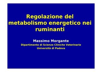 Regolazione del metabolismo energetico nei ruminanti