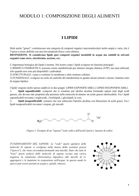 Benvenuto in un nuovo look di steroidi propionat