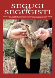 SEGUGI SEGUGISTI - Segugi e Segugisti