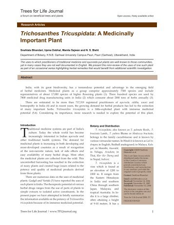 Trichosanthes Tricuspidata: A Medicinally Important Plant