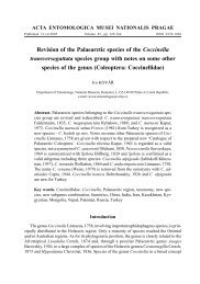 Revision of the Palaearctic species of the Coccinella ...