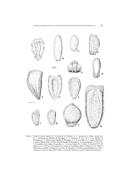 The genus Trichosanthes L. (Cucurbitaceae) in Thailand ...