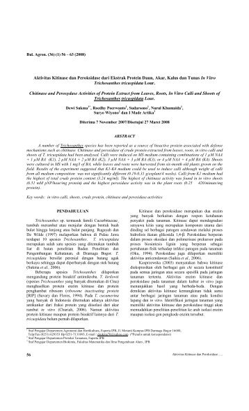 Aktivitas Kitinase dan Peroksidase dari Ekstrak Protein ... - Journal IPB