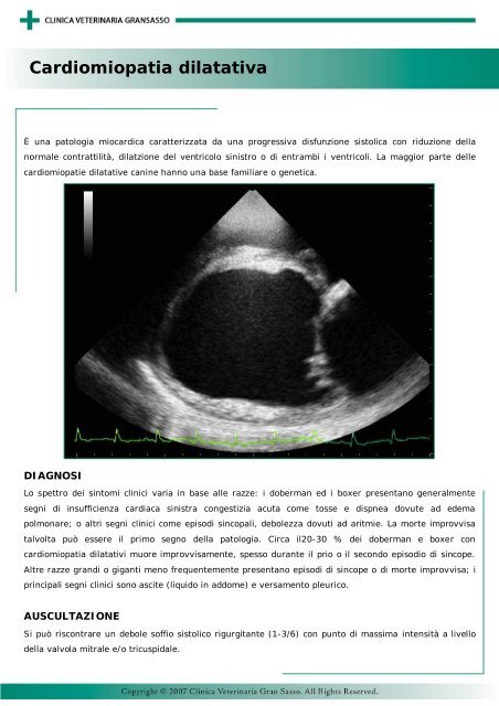 Cardiomiopatia dilatativa - Clinica Veterinaria Gran Sasso
