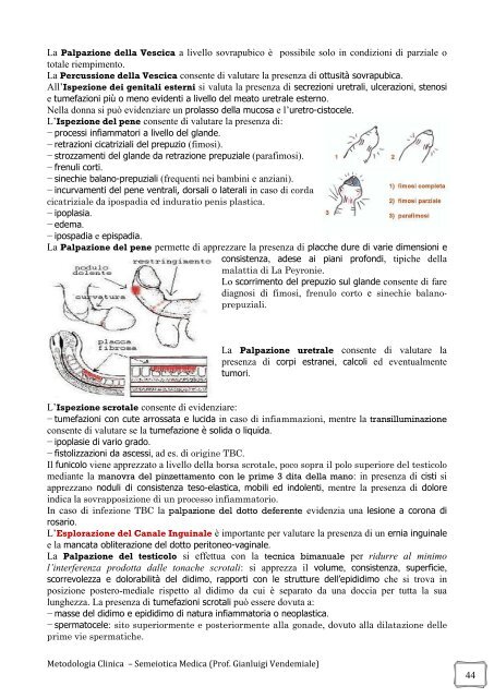 1 La Semeiotica è lo studio dei sintomi e segni patognomonici o ...