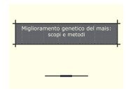 miglioramento piante allogame ibridi mais - ISI Duca degli Abruzzi