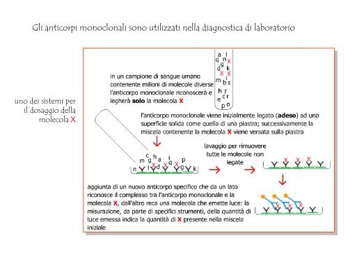 scarica il file pdf Applicazioni delle biotecnologie